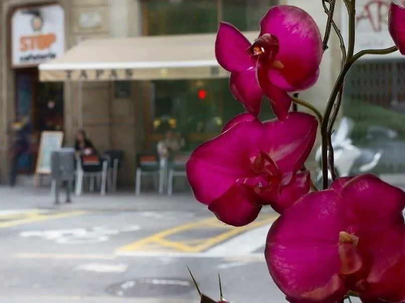 Hotel Sansi Barcelona 4*,  Spain